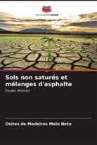 Osires de Medeiros Melo Neto - Sols non saturés et mélanges d'asphalte