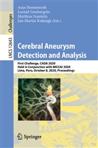 Leoni Goubergrits, Leonid Goubergrits, Anja Hennemuth, Matthia Ivantsits, Matthias Ivantsits, Matthias Ivantsits et al... - Cerebral Aneurysm Detection and Analysis