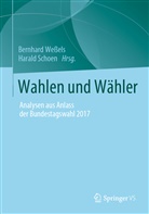 Schoen, Schoen, Harald Schoen, Bernhar Wessels, Bernhard Weßels - Wahlen und Wähler