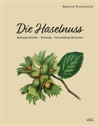 Brigitte Wachsmuth - Die Haselnuss