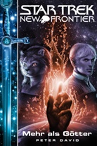 Peter David - Star Trek New Frontier 12
