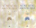 Selim Temo - Kürt Siiri Antolojisi 2 Cilt Takim