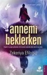 Zekeriya Efiloglu - Annemi Beklerken