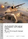 Richard P Hallion, Richard P. Hallion, Adam Tooby - Desert Storm 1991