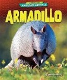 Jenna Grodzicki - Armadillo