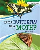 Susan B Katz, Susan B. Katz - Is It a Butterfly or a Moth?