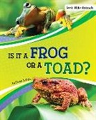Susan B Katz, Susan B. Katz - Is It a Frog or a Toad?