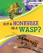 Susan B Katz, Susan B. Katz - Is It a Honeybee or a Wasp?