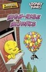 Ivan Cohen, Scott Gross - High-Rise Hijinks