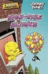 Ivan Cohen, Scott Gross - High-Rise Hijinks