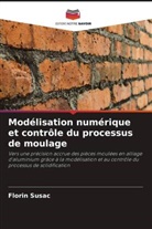 Florin Susac - Modélisation numérique et contrôle du processus de moulage