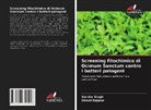 Shruti Rajwar, Varsha Singh - Screening fitochimico di Ocimum Sanctum contro i batteri patogeni