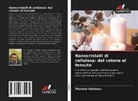 Tharwat Shaheen - Nanocristalli di cellulosa: dal cotone al tessuto