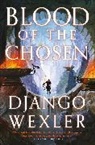 Django Wexler - Blood of the Chosen