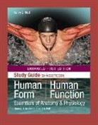 Kerry L Hull, Kerry L. Hull, Thomas H McConnell, Thomas H. McConnell - Human Form, Human Function: Essentials of Anatomy & Physiology, Enhanced Edition