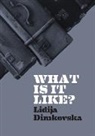 Lidija Dimkovska - What Is It Like?