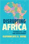 Olufunmilayo B. Arewa, Olufunmilayo B. (Temple University Arewa - Disrupting Africa
