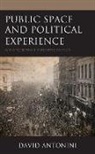 David Antonini - Public Space and Political Experience