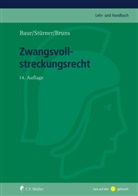 Fritz Baur, Fri Baur gestorben, Alexande Bruns, Alexander Bruns, Rol Stürner, Rolf Stürner - Zwangsvollstreckungsrecht