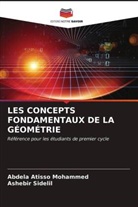 Abdela Atisso Mohammed, Ashebir Sidelil - LES CONCEPTS FONDAMENTAUX DE LA GÉOMÉTRIE