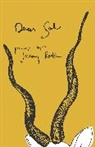 Jeremy Radin - Dear Sal