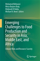 Mirz Barjees Baig, Mirza Barjees Baig, Mohamed Behnassi, Mahjoub El Haiba, Mahjoub El Haiba et al, Michael R. Reed - Emerging Challenges to Food Production and Security in Asia, Middle East, and Africa