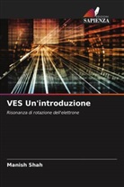 Manish Shah - VES Un'introduzione