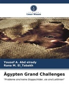 Youse A Abd elrady, Yousef A. Abd elrady, Rana M El_Tabakh, Rana M. El_Tabakh - Ägypten Grand Challenges