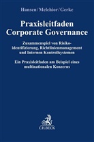 Ulrike Gerke, Ja Hansen, Jan Hansen, Susann Melchior, Susanne Melchior - Praxisleitfaden Corporate Governance: Zusammenspiel von Risikoidentifizierung, Richtlinienmanagement und Internem Kontrollsystem
