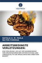 Nilton Formiga, NATÁLIA H PAULA, NATÁLIA H M PAULA, NATÁLIA H. M. PAULA - ARBEITSBEDINGTE VERLETZUNGEN: