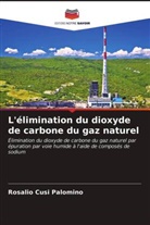 Rosalio Cusi Palomino - L'élimination du dioxyde de carbone du gaz naturel