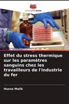 Husna Malik - Effet du stress thermique sur les paramètres sanguins chez les travailleurs de l'industrie du fer