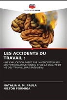 Nilton Formiga, NATÁLIA H. M. PAULA - LES ACCIDENTS DU TRAVAIL :