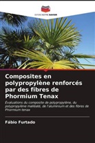 Fábio Furtado - Composites en polypropylène renforcés par des fibres de Phormium Tenax
