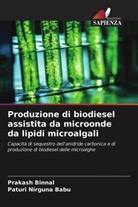 Prakash Binnal, Paturi Nirguna Babu - Produzione di biodiesel assistita da microonde da lipidi microalgali