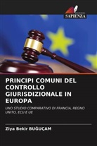 Bu&amp;, Ziya Bekir Bu¿Uçam, Ziya Bekir BUGUÇAM - PRINCIPI COMUNI DEL CONTROLLO GIURISDIZIONALE IN EUROPA