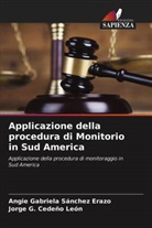 Jorge G. Cedeño León, Angie Gabriela Sánchez Erazo - Applicazione della procedura di Monitorio in Sud America