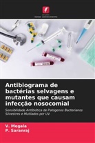 V. Megala, P. Saranraj - Antibiograma de bactérias selvagens e mutantes que causam infecção nosocomial