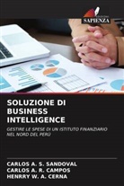 Henrry W. A. Cerna, Henrry Wilfredo Agreda Cerna, Carlos A. R. Campos, Carlos Alberto Ríos Campos, Carlos A. S. Sandoval, Carlos Alberto Siesquen Sandoval - SOLUZIONE DI BUSINESS INTELLIGENCE
