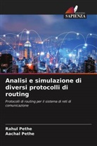 Aachal Pethe, Rahul Pethe - Analisi e simulazione di diversi protocolli di routing