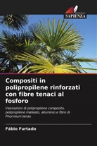 Fábio Furtado - Compositi in polipropilene rinforzati con fibre tenaci al fosforo