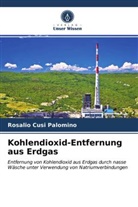 Rosalio Cusi Palomino - Kohlendioxid-Entfernung aus Erdgas