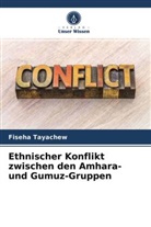 Fiseha Tayachew - Ethnischer Konflikt zwischen den Amhara- und Gumuz-Gruppen