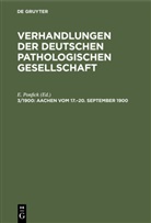 E. Ponfick - Verhandlungen der Deutschen Pathologischen Gesellschaft - 3/1900: Aachen vom 17.-20. September 1900