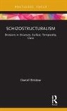 Daniel Bristow, Daniel (University of Manchester) Bristow - Schizostructuralism