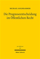 Michael Goldhammer - Die Prognoseentscheidung im Öffentlichen Recht