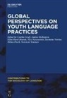 Cynthia Groff, Andre Hollington, Andrea Hollington, Ellen Hurst-Harosh, Ellen Hurst-Harosh et al - Global Perspectives on Youth Language Practices