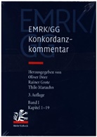Oliver Dörr, Raine Grote, Rainer Grote, Thilo Marauhn - EMRK/GG