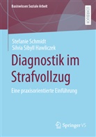 Silvia Sibyl Hawliczek, Silvia Sibyll Hawliczek, Schmidt, Stefanie Schmidt - Diagnostik im Strafvollzug