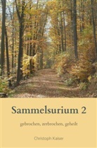 Christoph Kaiser, Christoph Kaiser - Sammelsurium 2